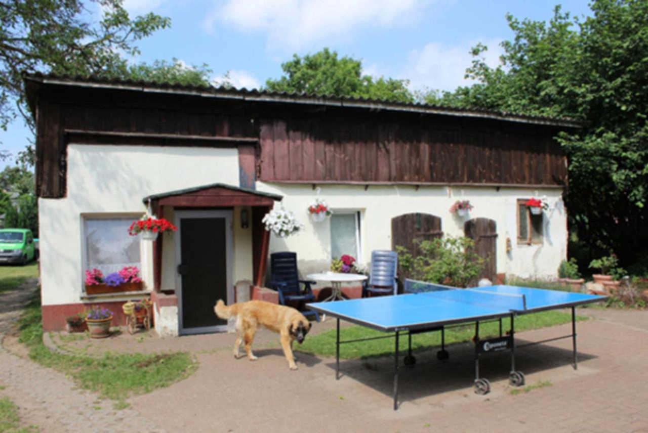 Ferienwohnung Heidi Ostseebad Ostseebad Zinnowitz Exterior foto